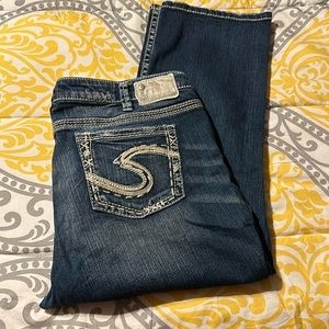 Women’s size 20 silver capri